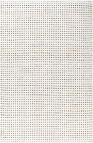 Ariel Handwoven PET Rug — White / Taupe | AIL-2301 - performance