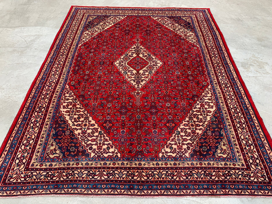11'7 x 8'10 Hand-Knotted Persian Wool Rug in Red, Blue & Ivory Traditional Medallion Design | KBHM-1061