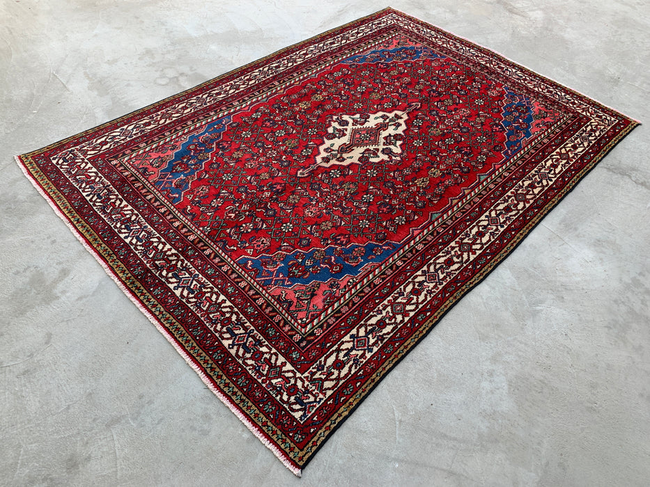 10'0 x 6'11 Hand-Knotted Persian Wool Rug in Red, Blue & Ivory Traditional Medallion Design | KBHM-1093