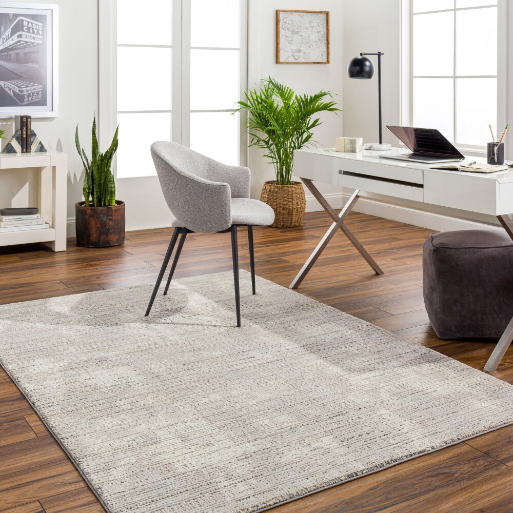 Alder Machine Woven Rug — Taupe / Gray | AIS-2309 - colour & pattern