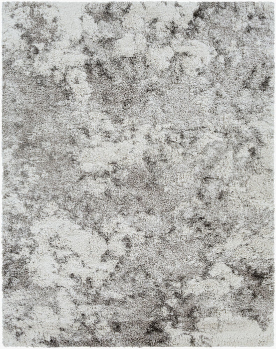 Alta Shag Machine Woven Rug — Off-White / Gray | ASG-2304