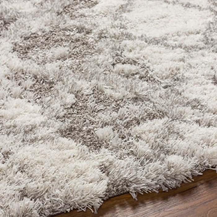 Alta Shag Machine Woven Rug — Off-White / Gray | ASG-2305