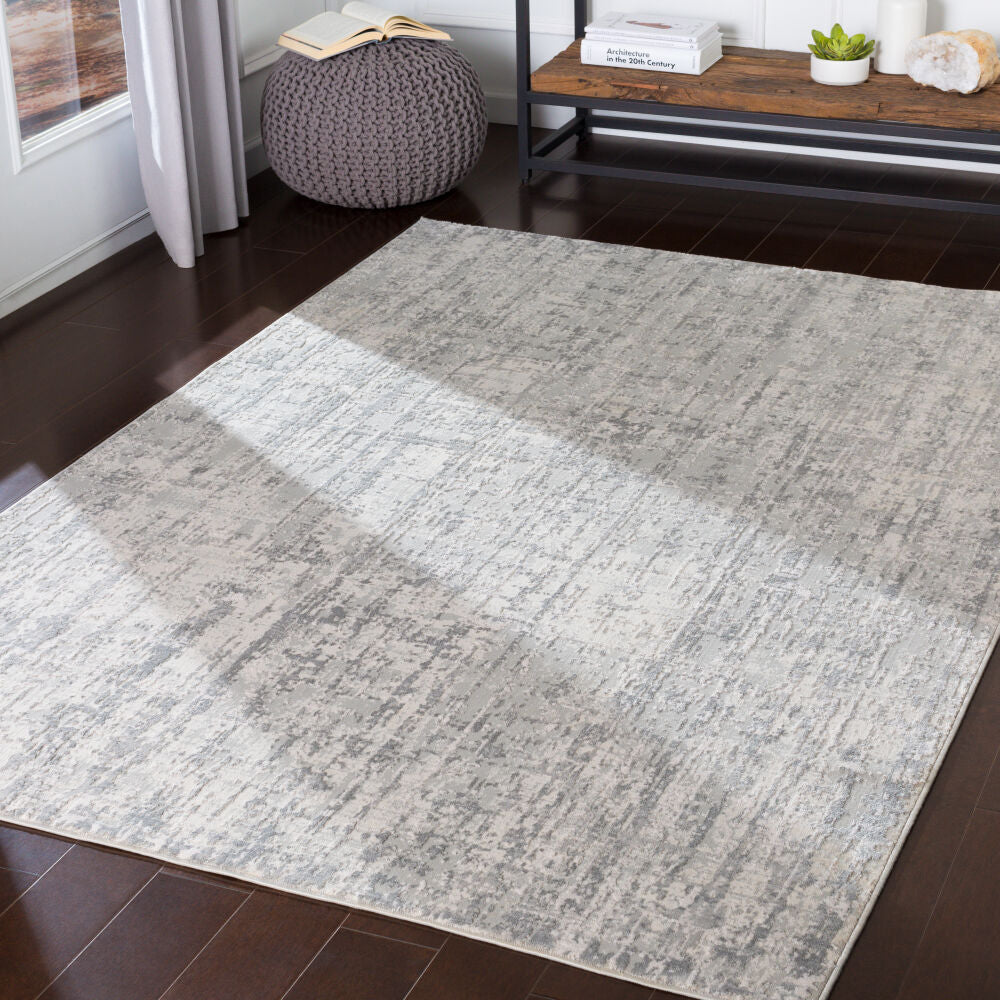 Aisha Machine Woven Rug — Light Gray / Off-White | AIS-2305 - colour & pattern
