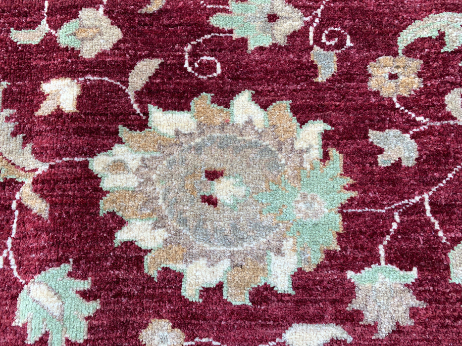 9'9 x 6'8 Hand-Knotted Peshawari Chobi Wool Rug - Red Traditional Floral Area Rug - KBHM-532