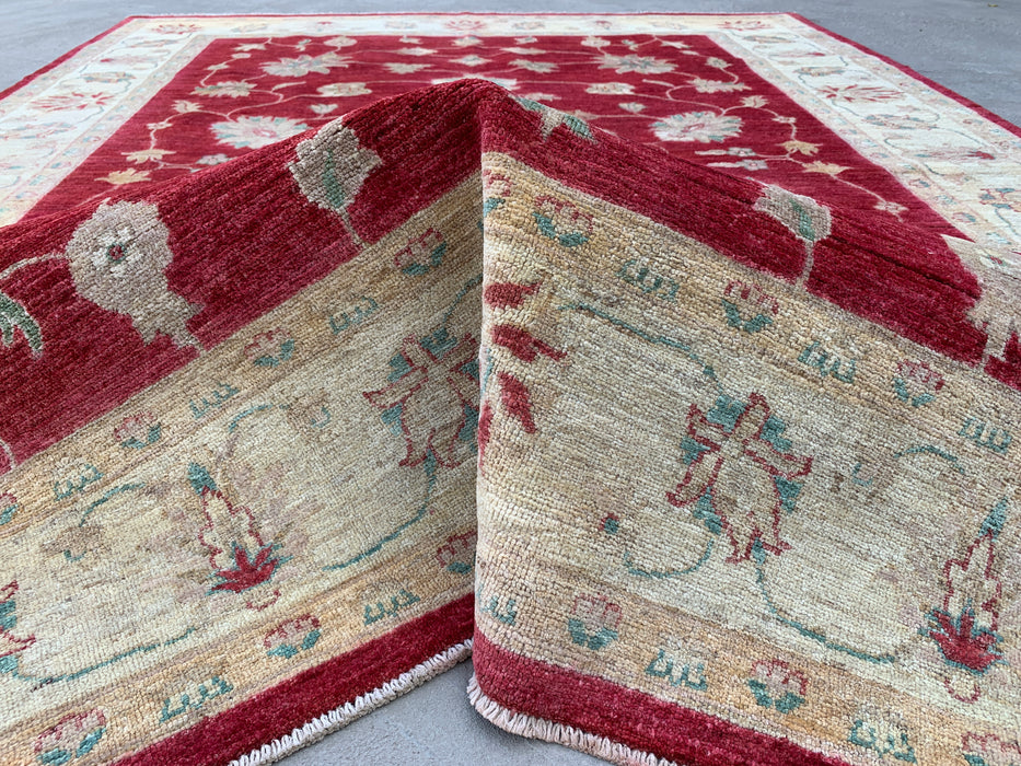8'4 x 6'4 Hand-Knotted Peshawari Chobi Wool Rug - Red Traditional Floral Area Rug - KBHM-542