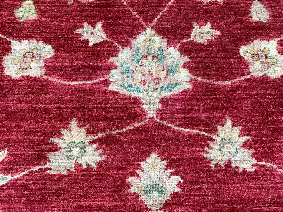 8'4 x 6'4 Hand-Knotted Peshawari Chobi Wool Rug - Red Traditional Floral Area Rug - KBHM-542