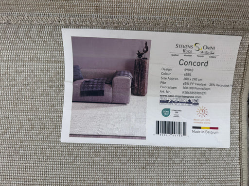 7'x10' Power-Loomed Modern Minimalist Style Grey Rug – KB Rugs