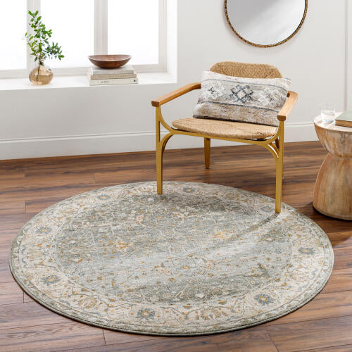 Livabliss Dresden Machine Woven Rug — Mist / Ivory | DRE-2310