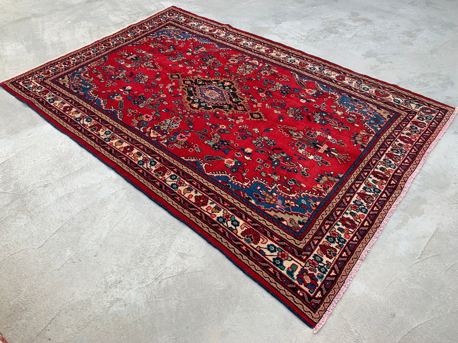 Handmade Persian Wool Area Rug 7x10 - Red, Blue & Ivory Floral Medallion Persian Style Rug - Exact Size 9'11" x 6'9" - KBHM-776