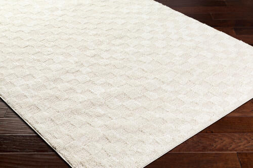 Livabliss Freud Machine Woven Rug — Ivory | FEU-2306