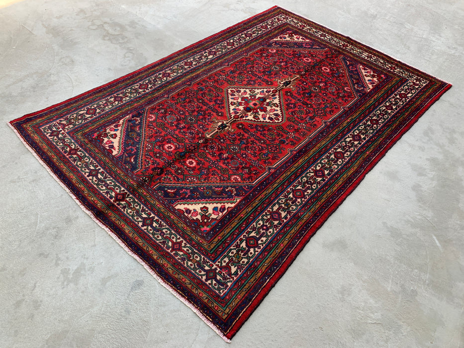 10'2 x 6'10 Hand-Knotted Persian Wool Rug - Red Medallion Design - KBHM-993