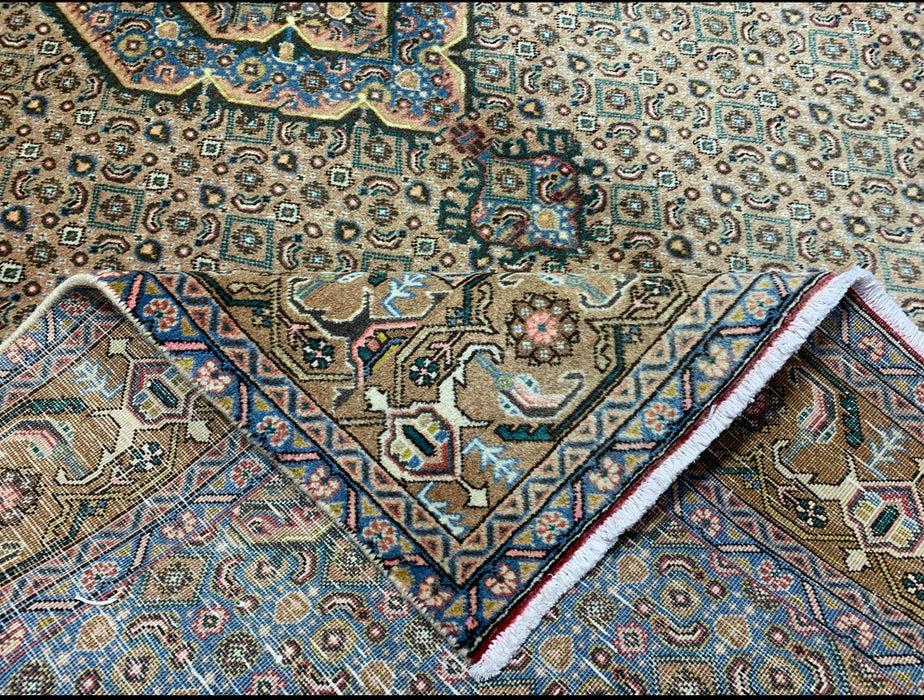 7'x10' Hand-Knotted Persian Beige/Teal Area Rug – KB Rugs 