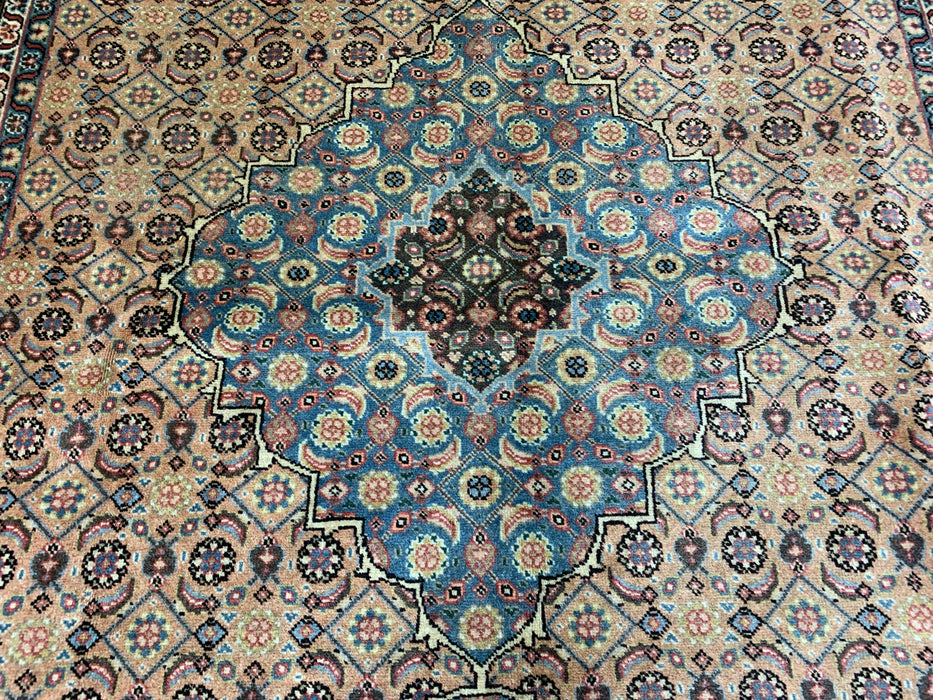 7'x10' Hand-Knotted Persian Beige/Multi Area Rug – KB Rugs 