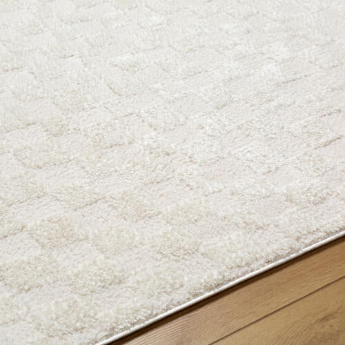 Livabliss Freud Machine Woven Rug — Ivory | FEU-2306