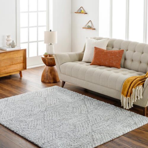 Cloudy Shag Machine Woven Rug — Light Gray | CDG-2320 no - colour & pattern