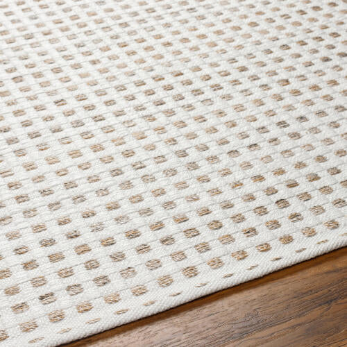 Ariel Handwoven PET Rug — White / Taupe | AIL-2301