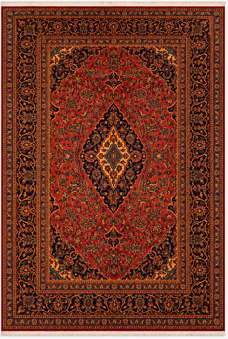 Handmade Persian Wool Area Rug 7x10 - Red Floral Medallion Persian Style Rug - Exact Size 9'5" x 6'3" - KBHM-683