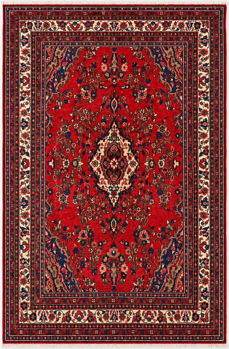Handmade Persian Wool Area Rug 7x10 - Red Floral Medallion Persian Style Rug - Exact Size 9'6" x 6'8" - KBHM-681