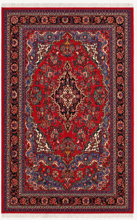 Handmade Persian Wool Area Rug 7x10 - Red, Blue & Ivory Traditional Floral Persian Style Rug - Exact Size 10'2" x 7'0" - KBHM-1179
