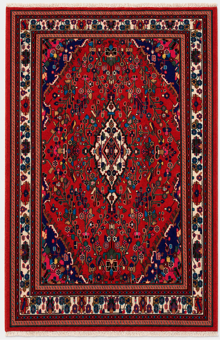 Handmade Persian Wool Area Rug 7x10 - Red Floral Medallion Persian Style Rug - Exact Size 9'7" x 6'9" - KBHM-1019