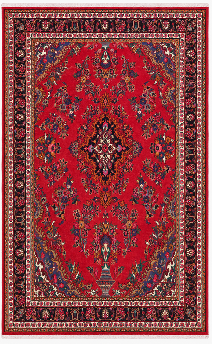 Handmade Persian Wool Area Rug 7x10 - Red, Navy & Ivory Traditional Floral Medallion Persian Style Rug - Exact Size 9'9" x 6'11" - KBHM-1041