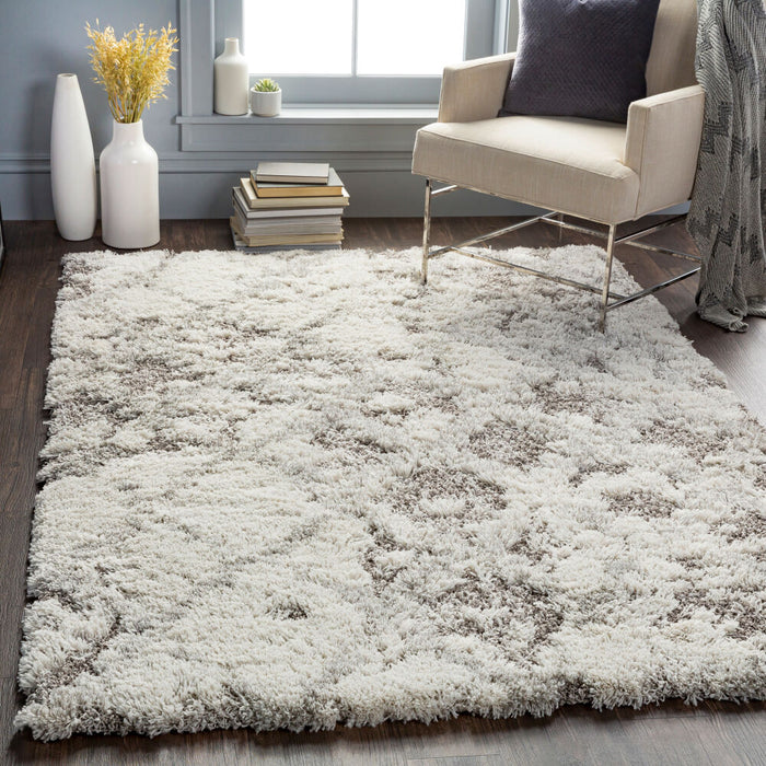 Alta Shag Machine Woven Rug — Off-White / Gray | ASG-2305
