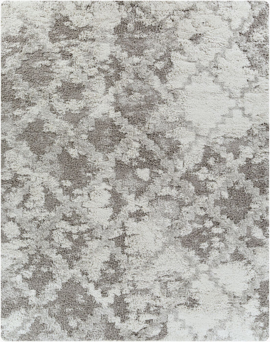 Alta Shag Machine Woven Rug — Off-White / Gray | ASG-2305