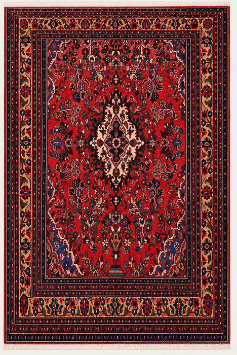 Handmade Persian Wool Area Rug 7x10 - Red Floral Medallion Persian Style Rug - Exact Size 8'11" x 6'9" - KBHM-964