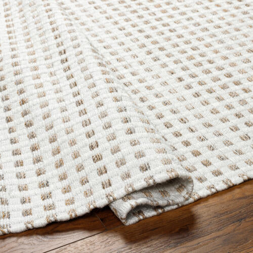 Ariel Handwoven PET Rug — White / Taupe | AIL-2301