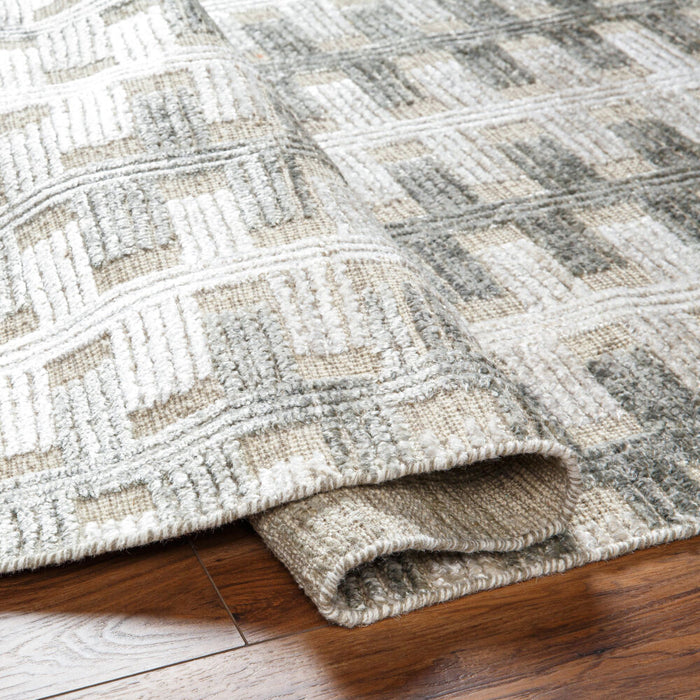 Amina Hand Knotted Rug — Light Beige / Gray | AMA-2302