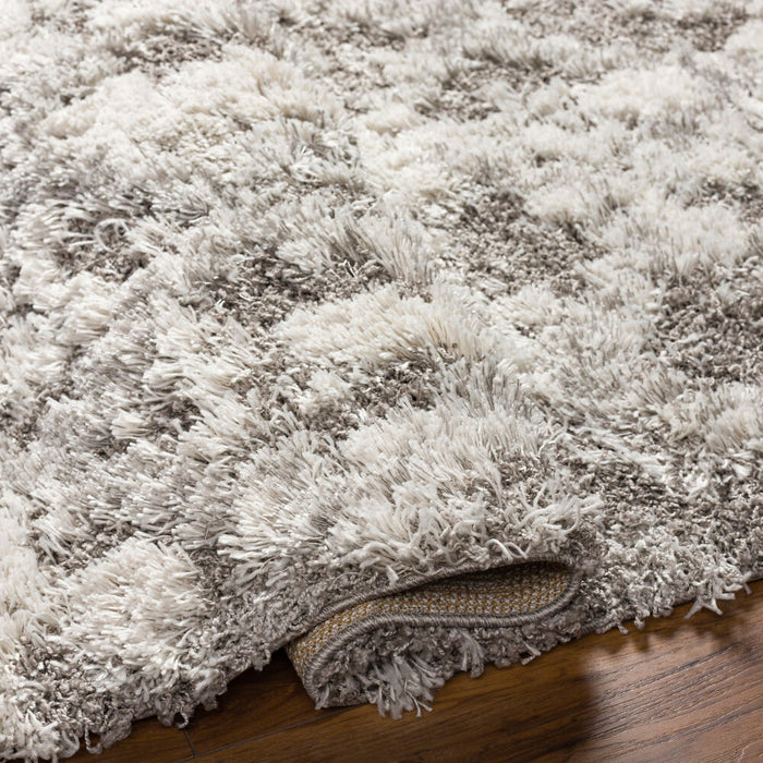 Alta Shag Machine Woven Rug — Off-White / Gray | ASG-2305