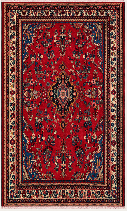 Handmade Persian Wool Area Rug 7x10 - Red, Blue & Ivory Floral Medallion Persian Style Rug - Exact Size 9'11" x 6'9" - KBHM-776