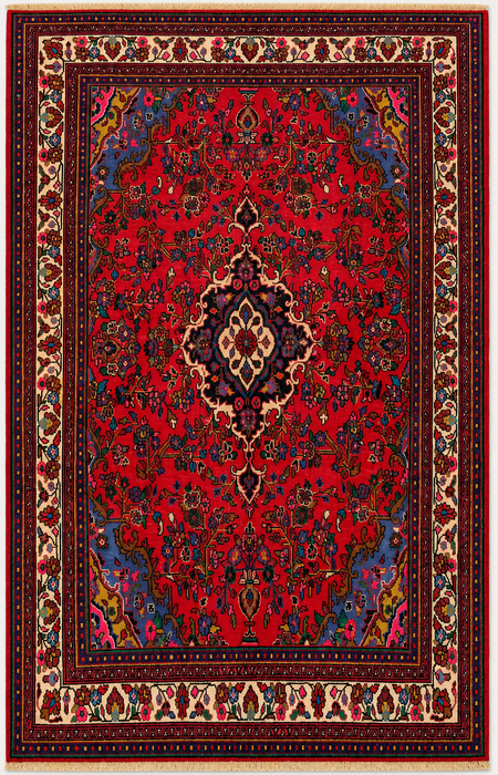 Handmade Persian Wool Area Rug 7x10 - Red, Navy & Ivory Floral Medallion Persian Style Rug - Exact Size 9'11" x 6'8" - KBHM-766