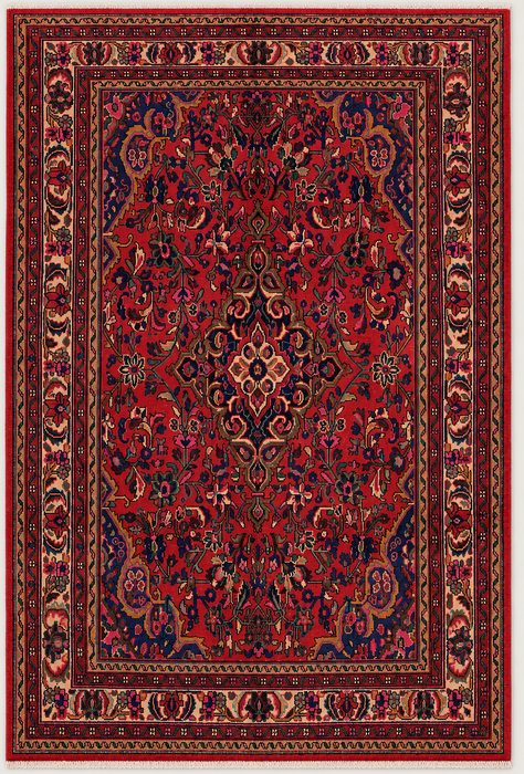 Handmade Persian Wool Area Rug 7x10 - Red Floral Medallion Persian Style Rug - Exact Size 9'10" x 6'11" - KBHM-931