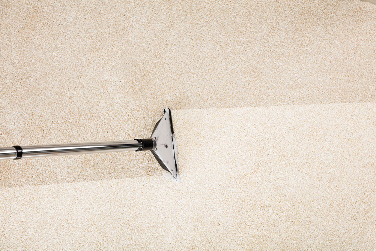 Carpet cleaning toronto