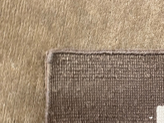 4'X5'9" Nepali Wool Area rug